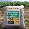 発電所の灰を土壌改良材に利用 さつまいも試験で収穫量が約1.4倍へ
