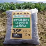 発電所の灰を土壌改良材に利用 さつまいも試験で収穫量が約1.4倍へ