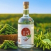 規格外の茶豆をクラフトジンへ 目標額129％の支援で発売