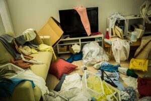 汚部屋に虫が湧く理由4つ