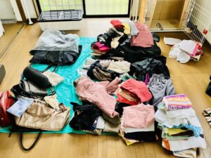 ゴミ屋敷の害虫を駆除する方法についてまとめ