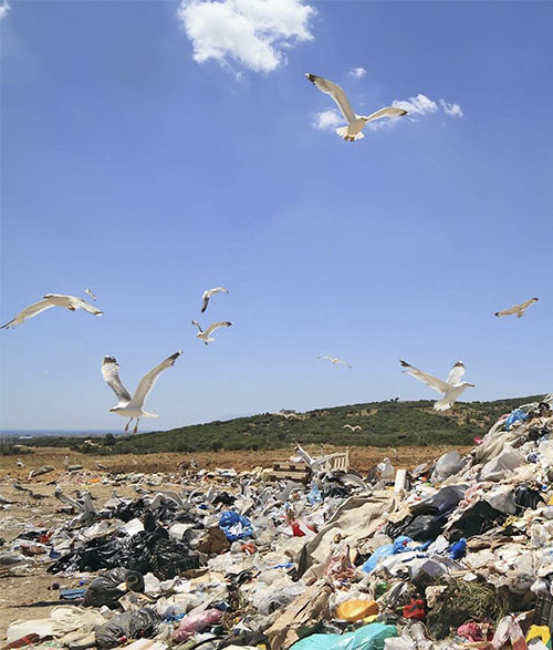 landfills-a-history-of-waste-dsdisposal-強化